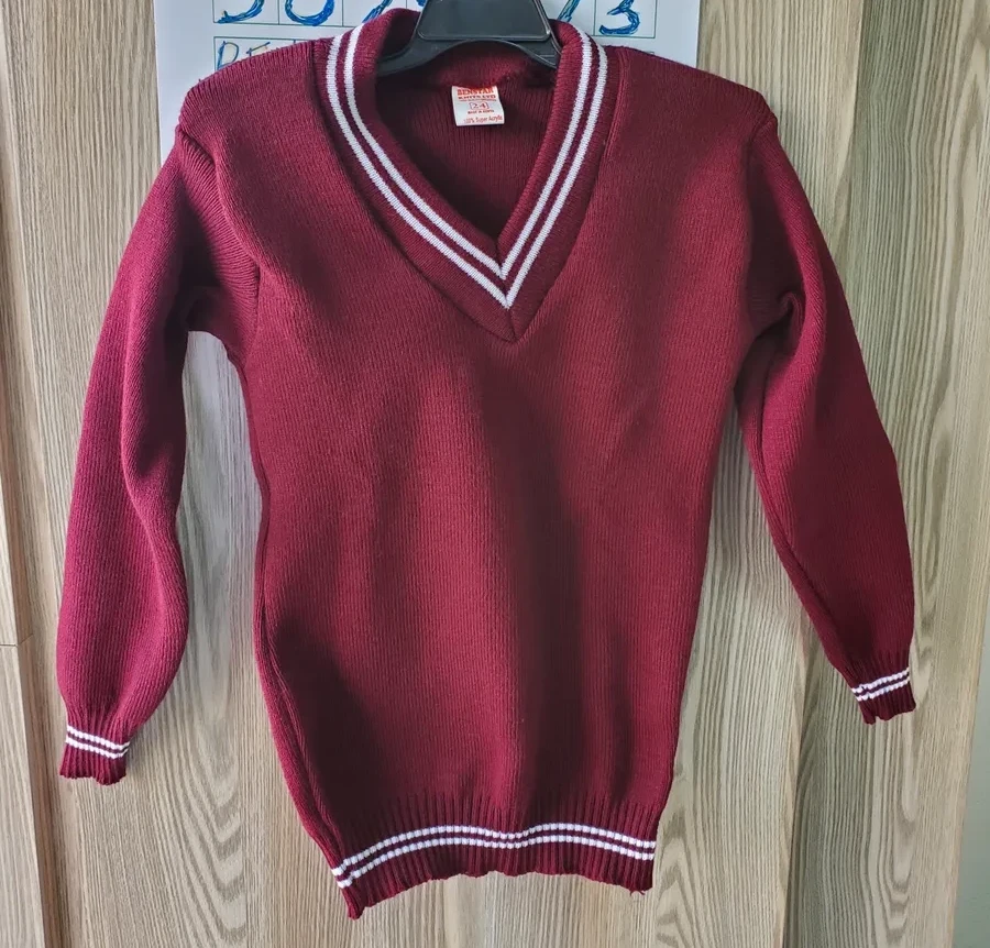 V-Neck School Sweater — Long Sleeve (Stripes)